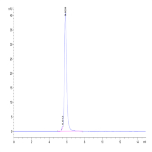 Human Neogenin Protein (NEO-HM201)