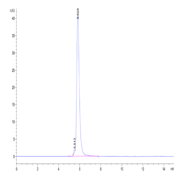 Human Neogenin Protein (NEO-HM201)