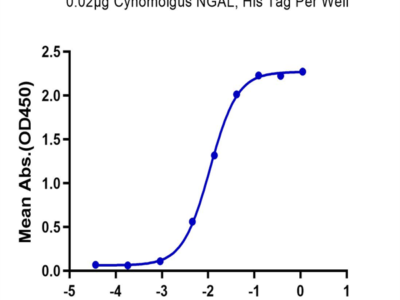 Cynomolgus NGAL/Lipocalin-2 Protein (NGL-CM102)