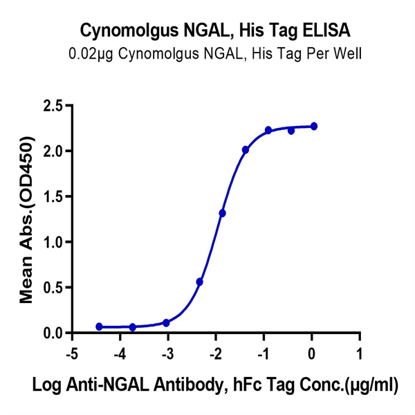 Cynomolgus NGAL/Lipocalin-2 Protein (NGL-CM102) Cynomolgus NGAL/Lipocalin-2 Protein (NGL-CM102)