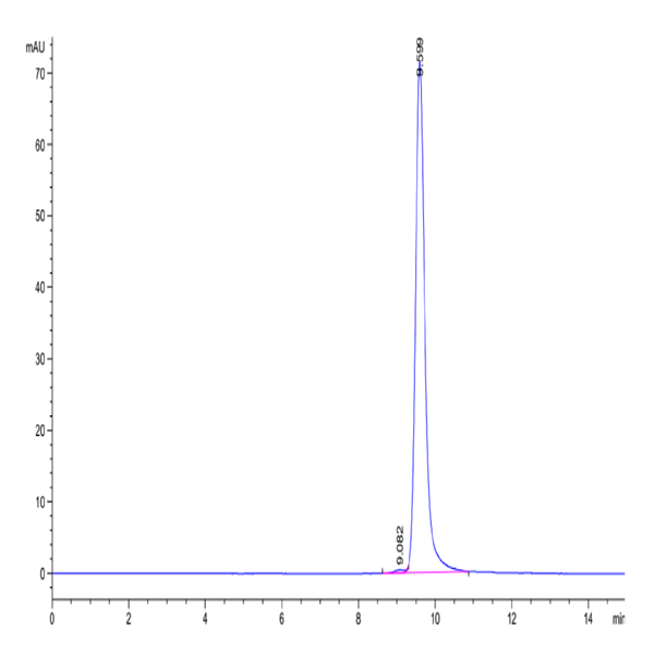 Cynomolgus NGAL/Lipocalin-2 Protein (NGL-CM102)
