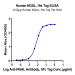 Human NGAL/Lipocalin-2 Protein (NGL-HM102)