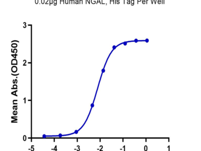 Human NGAL/Lipocalin-2 Protein (NGL-HM102)