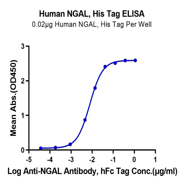 Human NGAL/Lipocalin-2 Protein (NGL-HM102) Human NGAL/Lipocalin-2 Protein (NGL-HM102)