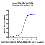 Human NGAL/Lipocalin-2 Protein (NGL-HM201)