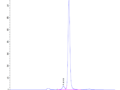 Mouse NGAL/Lipocalin-2 Protein (NGL-MM201)