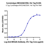 Cynomolgus NKG2A&CD94 Protein (NKC-CM194)