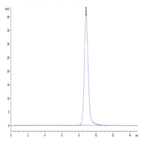 Cynomolgus NKG2C&CD94 Protein (NKC-CM1C4)