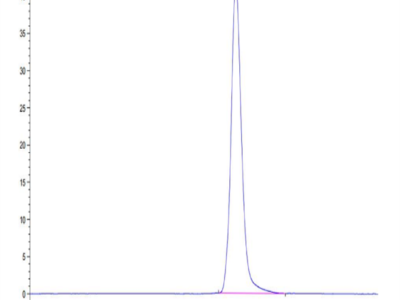 Cynomolgus NKG2C&CD94 Protein (NKC-CM1C4)