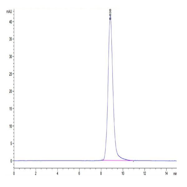 Cynomolgus NKG2C&CD94 Protein (NKC-CM1C4) Cynomolgus NKG2C&CD94 Protein (NKC-CM1C4)