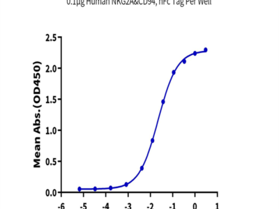 Human NKG2A&CD94 Protein (NKC-HM294)