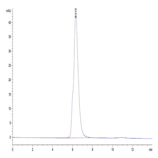 Human NKG2A&CD94 Protein (NKC-HM394)