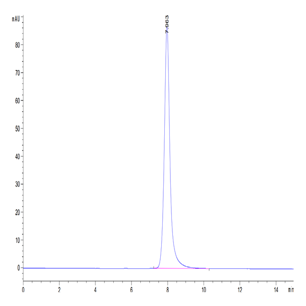 Human NKG2A&CD94 Protein (NKC-HM495)