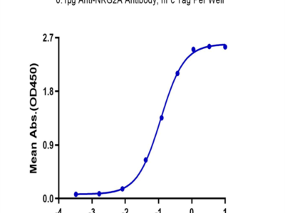 Biotinylated Human NKG2A&CD94 Protein (NKC-HM495B)