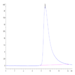 Biotinylated Human NKG2A&CD94 Protein (NKC-HM495B)