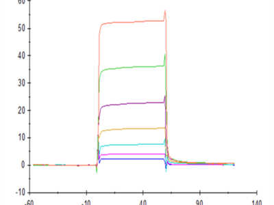 Human NKG2C&CD94 Protein (NKC-HM696)