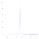 Mouse NKG2A&CD94 Protein (NKC-MM394)