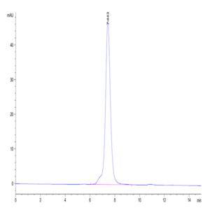 Mouse NKG2A&CD94 Protein (NKC-MM394)