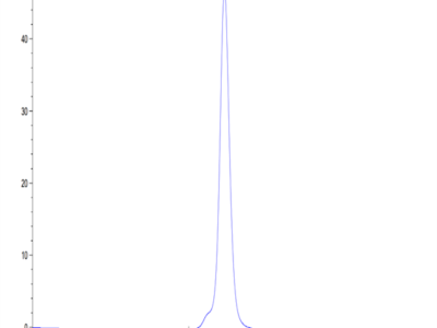 Mouse NKG2A&CD94 Protein (NKC-MM394)