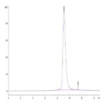 Cynomolgus NKG2D/CD314 Protein (NKG-CM12D)