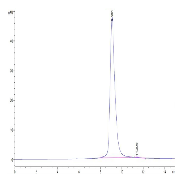 Cynomolgus NKG2D/CD314 Protein (NKG-CM12D)