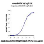 Human NKG2A/CD159a Protein (NKG-HM210)