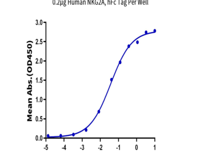 Human NKG2A/CD159a Protein (NKG-HM210)