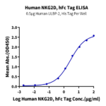 Human NKG2D/CD314 Protein (NKG-HM22D)