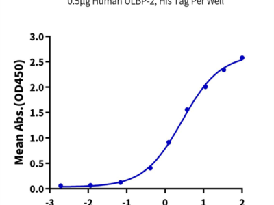 Human NKG2D/CD314 Protein (NKG-HM22D)