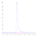 Human NKG2D/CD314 Protein (NKG-HM22D)