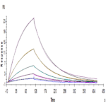 Human NKG2A/CD159a Protein (NKG-HM410)