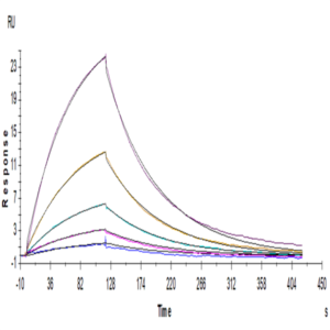 Human NKG2A/CD159a Protein (NKG-HM410)