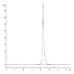 Biotinylated Human NKG2A/CD159a Protein (NKG-HM410B)