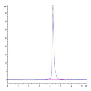 Biotinylated Human NKG2A/CD159a Protein (NKG-HM410B)