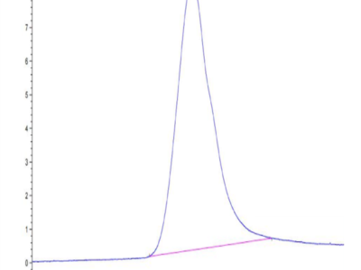 Biotinylated Human NKG2C/CD159c Protein (NKG-HM42CB)