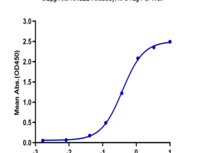 Biotinylated Human NKG2D/CD314 Protein (NKG-HM42DB)