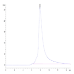 Biotinylated Human NKG2D/CD314 Protein (NKG-HM42DB)