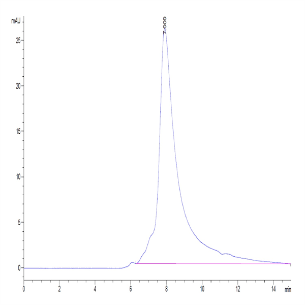 Biotinylated Human NKG2D/CD314 Protein (NKG-HM42DB)