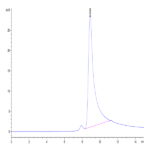 Mouse NKG2D/CD314 Protein (NKG-MM12D)