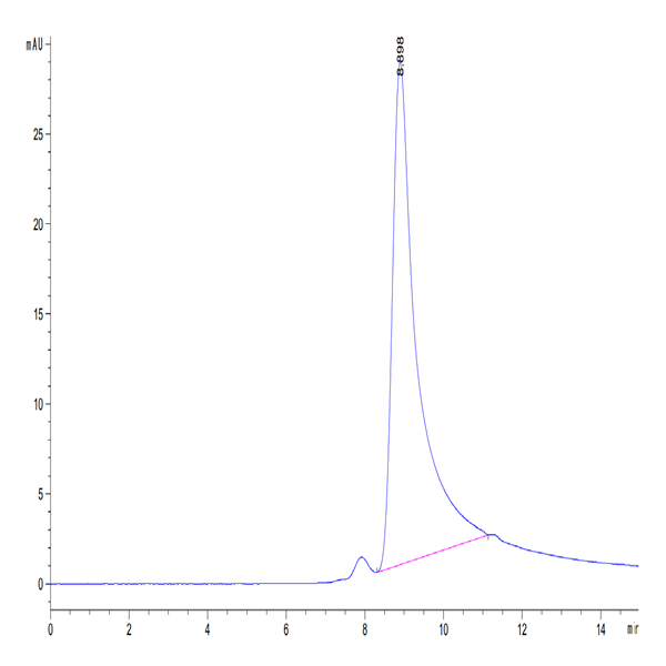 Mouse NKG2D/CD314 Protein (NKG-MM12D)