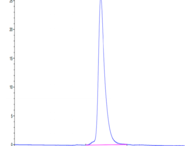 Mouse NKG2C/CD159c Protein (NKG-MM22C)