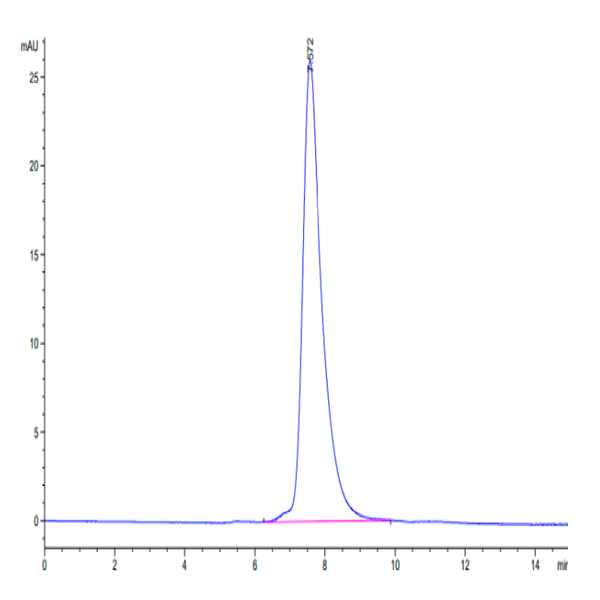 Mouse NKG2C/CD159c Protein (NKG-MM22C) Mouse NKG2C/CD159c Protein (NKG-MM22C)