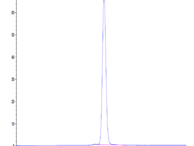 Mouse NKG2D/CD314 Protein (NKG-MM22D)