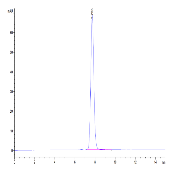 Mouse NKG2D/CD314 Protein (NKG-MM22D) Mouse NKG2D/CD314 Protein (NKG-MM22D)