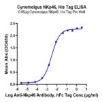 Cynomolgus NKp46/NCR1/CD335 Protein (NKP-CM146)