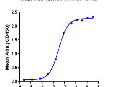 Cynomolgus NKp46/NCR1/CD335 Protein (NKP-CM146)