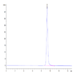 Cynomolgus NKp46/NCR1/CD335 Protein (NKP-CM146)