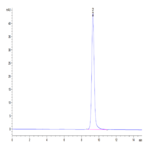 Cynomolgus NKp46/NCR1/CD335 Protein (NKP-CM146)