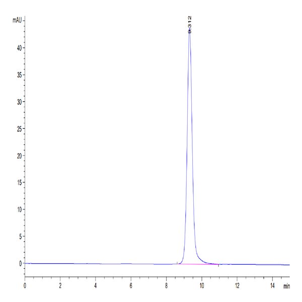 Cynomolgus NKp46/NCR1/CD335 Protein (NKP-CM146)