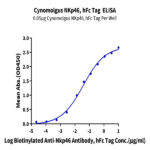 Cynomolgus NKp46/NCR1/CD335 Protein (NKP-CM246)